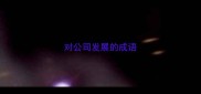 对公司发展的成语
