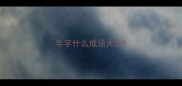 年字什么成语大全