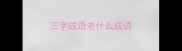三字成语老什么成语