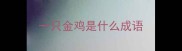 一只金鸡是什么成语
