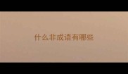 什么非成语有哪些