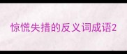 惊慌失措的反义词成语