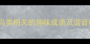 鸟中争锋10个与鸟类相关的趣味成语及谐音梗附网络热梗
