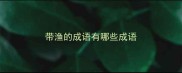 带渔的成语有哪些成语