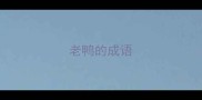 老鸭的成语