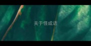 关于怪成语