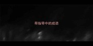 带指带中的成语