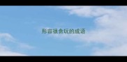 形容很贪玩的成语