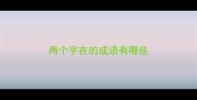 两个字在的成语有哪些