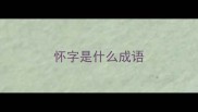 怀字是什么成语