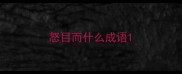 怒目而什么成语