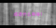 成语什么有味