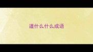 道什么什么成语