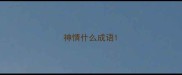 神情什么成语