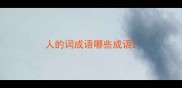 人的词成语哪些成语