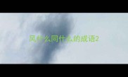 风什么同什么的成语