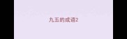 九五的成语