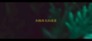 和胸有关的成语
