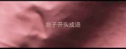 息子开头成语