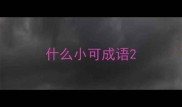 什么小可成语