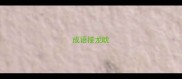 成语接龙眈