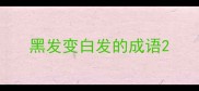 黑发变白发的成语