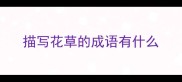 描写花草的成语有什么