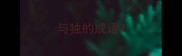 与独的成语