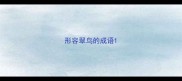形容翠鸟的成语
