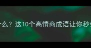 日什么如什么这10个高情商成语让你秒变表达王者