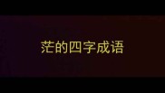 茫的四字成语
