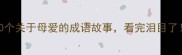 10个关于母爱的成语故事看完泪目了