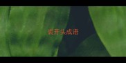 裘开头成语