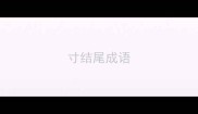 寸结尾成语