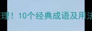 散字开头的成语全整理10个经典成语及用法助你秒变表达高手