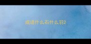 成语什么石什么羽