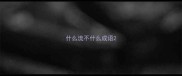 什么流不什么成语