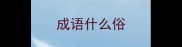 成语什么俗