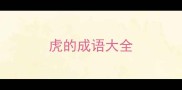 虎的成语大全