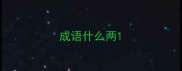 成语什么两