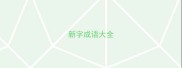新字成语大全