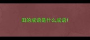 田的成语是什么成语