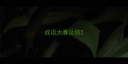 成语大赛总结
