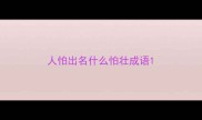人怕出名什么怕壮成语