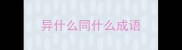 异什么同什么成语