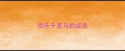 伯乐千里马的成语