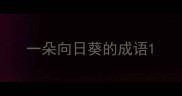 一朵向日葵的成语