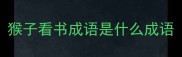 猴子看书成语是什么成语