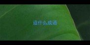 迢什么成语