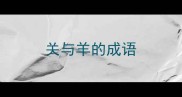 关与羊的成语